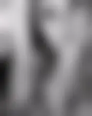 Foto van stella3