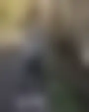 Foto di bylefech52656