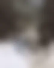Foto van alea3878
