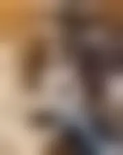 Foto di lulpheger25082