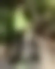 Foto de olivia0seule
