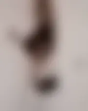 Foto de sylvia00