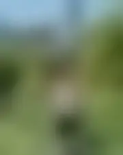 Foto van lilym91169
