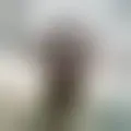 Chat with  andramelial54831