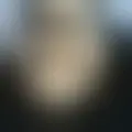 Chat with  carlos199802