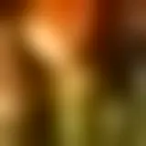 Chat met celib1124_24