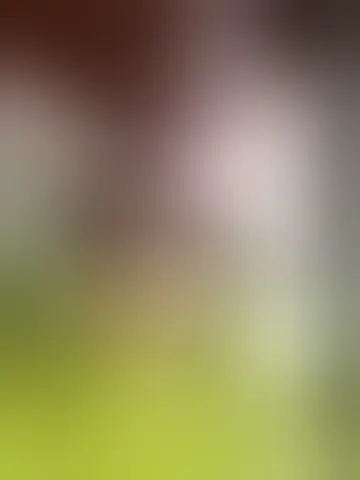 Conheça ihaliel31112 e mulheres solteiras no goiania Bate-papo com ihaliel31112 e homens solteiras no goiania