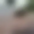 Chat with  jonasjo