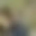 Chat with mareen1