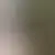 Profilo di mophomee82884
