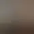 Profilo di t6669