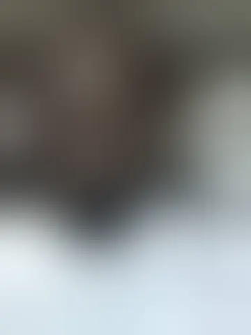 Contact tyreike and singles women in white stone Chat with tyreike and singles men in white stone