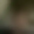 Discutir con zegmaar