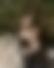 Foto di sandri234