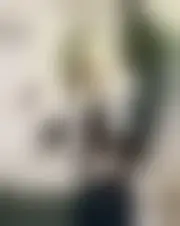 Foto de babydoll