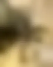 Foto di espanishe26