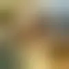 Chat with Agalech831 and singles near Washington D.C.