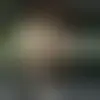 Chat with Alexmdiego and singles near cloverdale