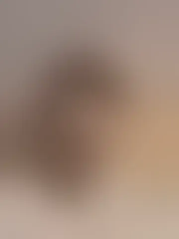 Photo of azacifus65001