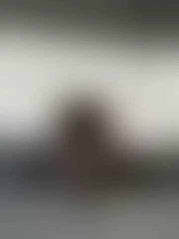 Photo of babi69007