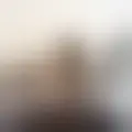 Discutir con bessagoch21029
