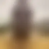 Chatta con black29122025