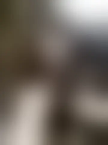 Photo of camlphus22443580