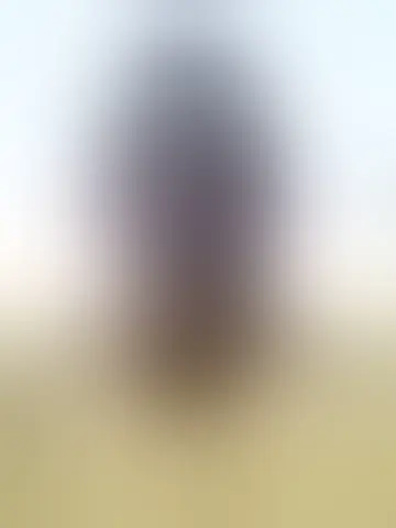 Foto de cemental