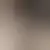 Profil de dandub