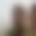 Discutere con djjbone