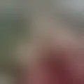 Chat with  drizzt87