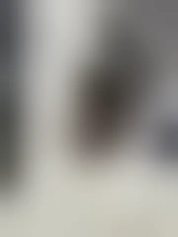 Plaudern mit heimdall17 und Singles Männer in stade