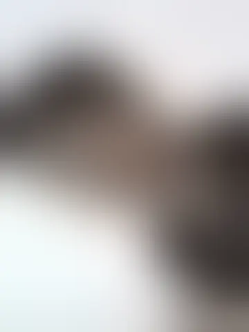 Bate-papo com henrique31 e homens solteiras no  rio branco