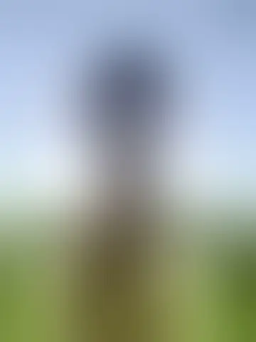 Chat with jj0604 and singles men in fredonia