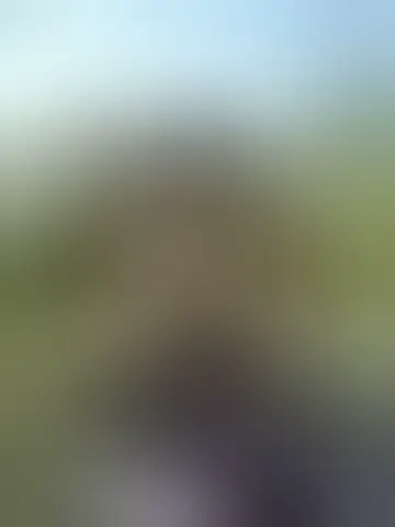 Photo of jon3383