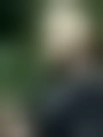 Contacter jphoenix97
