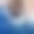Discutir con laulahaiah29439