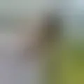 Discutir con luis561253