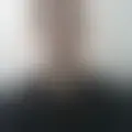 Discutere con marcos_sc