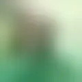 Discuter avec margel