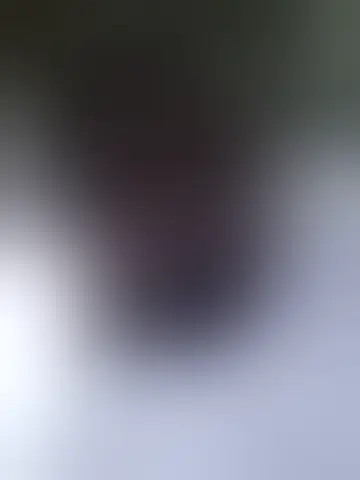 Chat with murathiah95120 and singles men in andrews