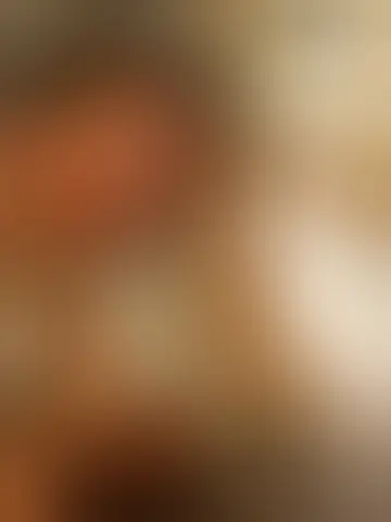 Contacter nolan16s