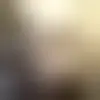 Contactar con pajarin