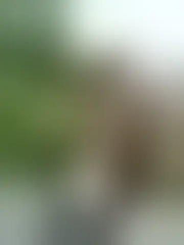 Contacter quenty_23
