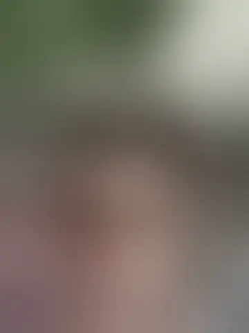 Foto de ramoneras