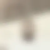 Chat with roland-matador