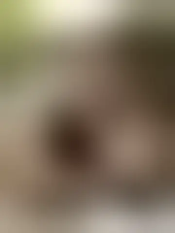Contacter seb56220