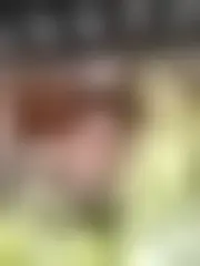 Photo of T0yt0y