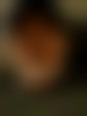 Chat with topper_8381 and singles men in jackson