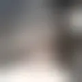Discuter avec velko